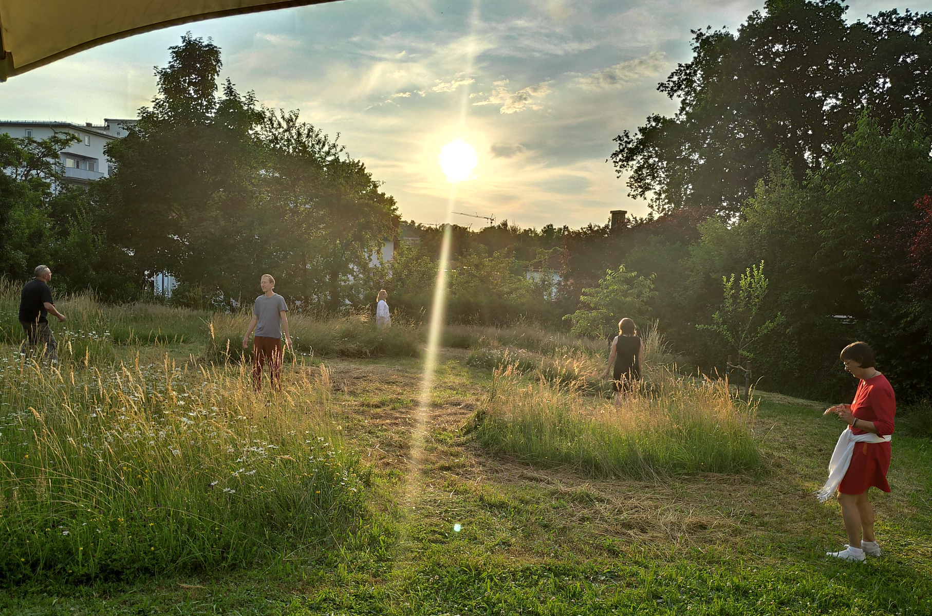 wiese-21-06-21-1.1.67cc3c9088032